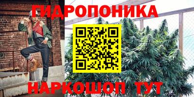 PSILOCYBIN Партизанск