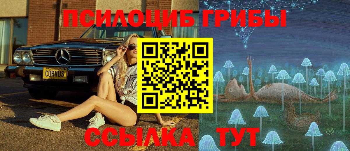 A PVP Новочебоксарск