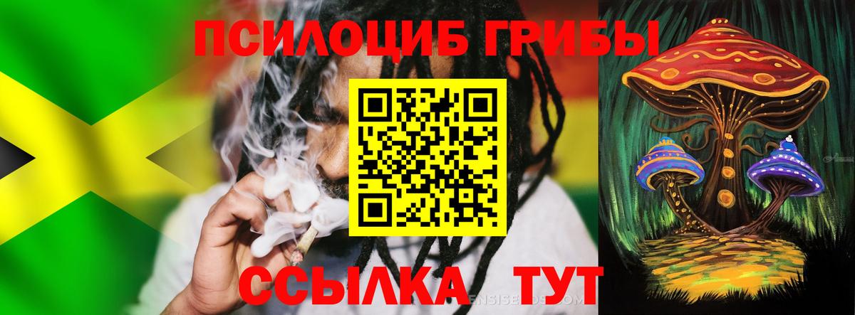 Галлюциногенные грибы Cubensis  цены наркотик  Новочебоксарск  Вход с VPN 